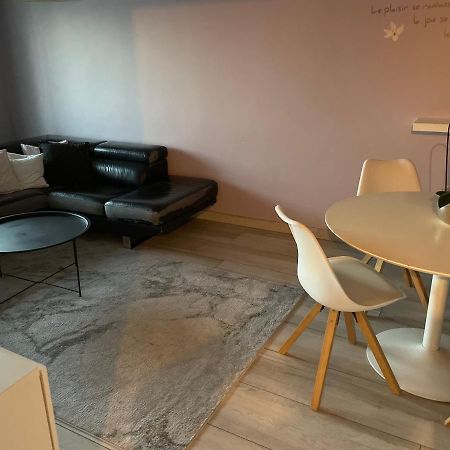Superbe Appartement Avec Place De Parking Gratuit 斯特拉斯堡 外观 照片