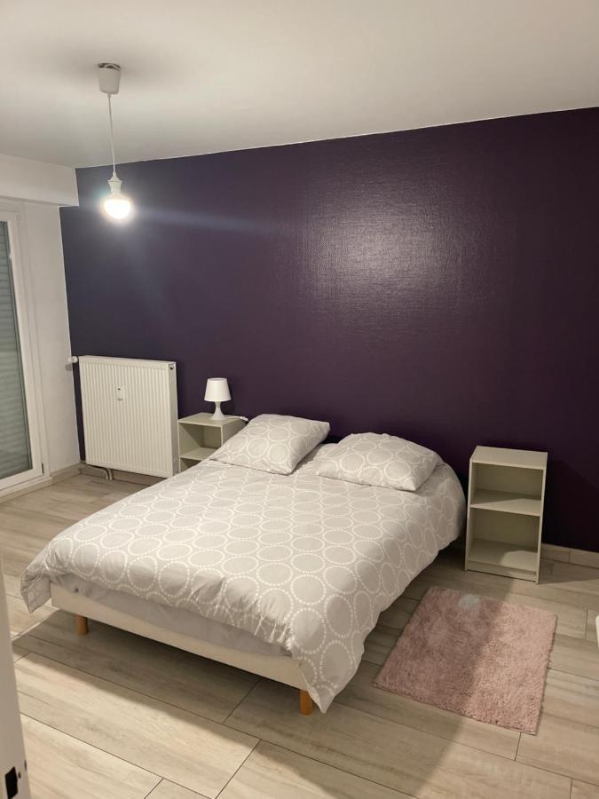 Superbe Appartement Avec Place De Parking Gratuit 斯特拉斯堡 外观 照片