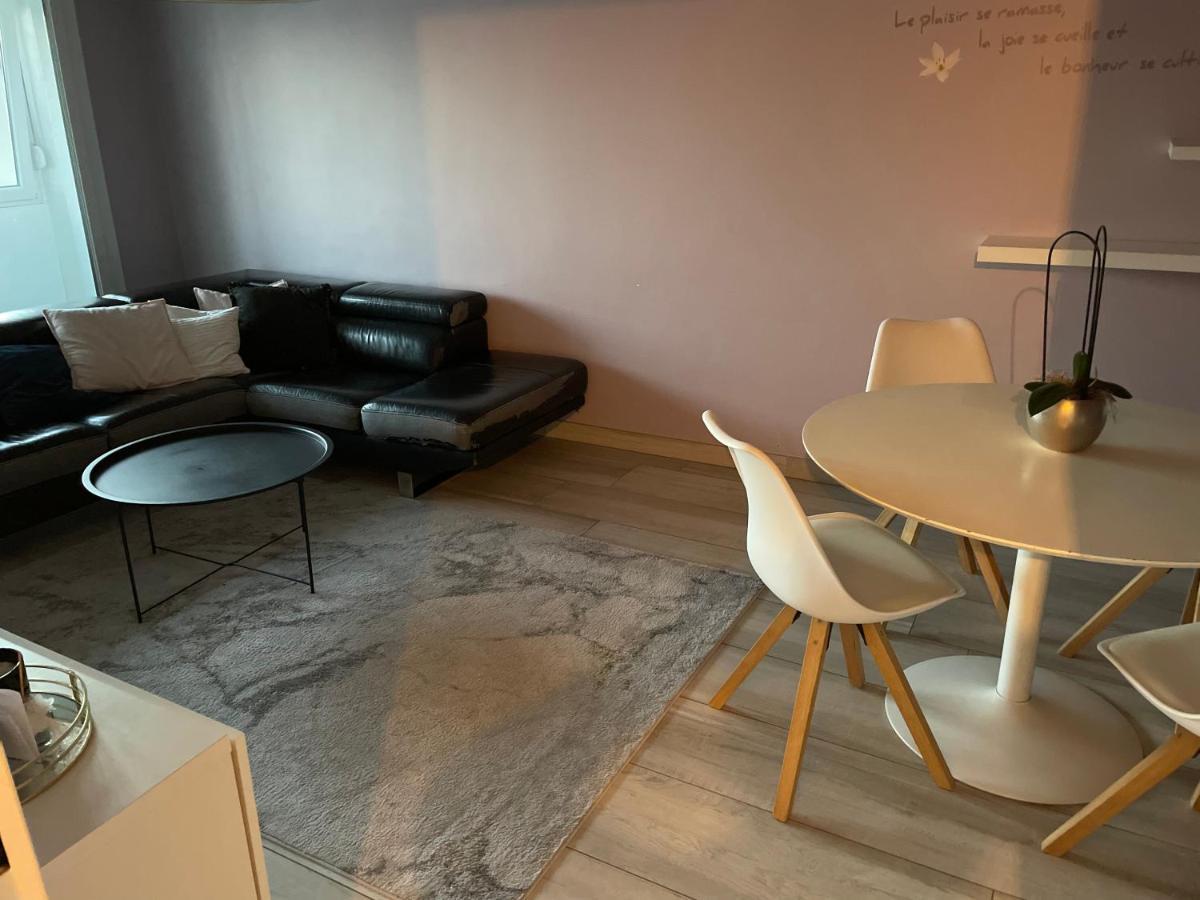 Superbe Appartement Avec Place De Parking Gratuit 斯特拉斯堡 外观 照片